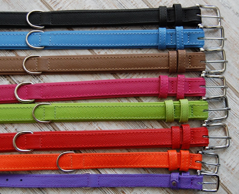 May include: Eight leather dog collars in a variety of colours, including black, blue, brown, pink, green, red, orange, and purple. Each collar has a silver buckle and a silver D-ring.