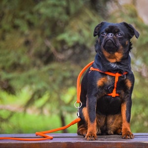 Dog Harness with Matching Leash, Rolled Leather Dog Harness, Soft Leather Dog Harness, Dog Harness No Pull, Step In Harness, Puppy Harness