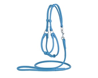 Rolled Soft Leather Small and Medium Dog Harness: Yorkie, Pomeranian, Pug, Shih Tzu, Papillon, Maltese, Bolognese, Papillon, Poodle