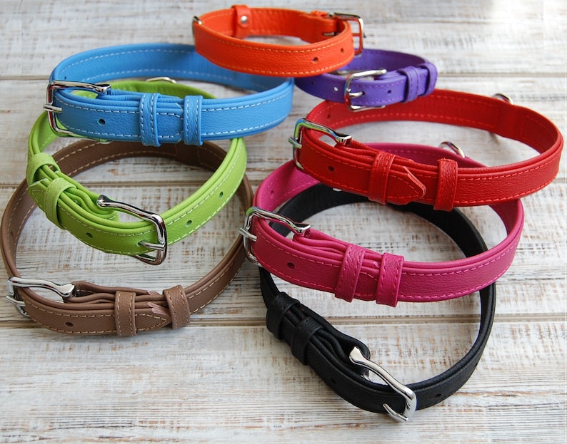 May include: Seven leather dog collars in various colors, including green, brown, blue, black, pink, red, and orange. The collars are arranged in a circle on a white wooden surface.