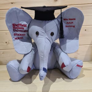 Op de afbeelding: Een lichtblauwe knuffelolifant met een zwarte afstudeerhoed. De oren van de olifant tonen geborduurde tekst: "Sheffield Hallam University Student Nurse" en "BSc Hons Adult Nursing". De voeten van de olifant hebben rode en blauwe details.