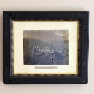 Rosa Bonheur-gravure &quot;Scotch Cattle&quot; ca 1878, ingelijst 13 1/2x 15 1/2