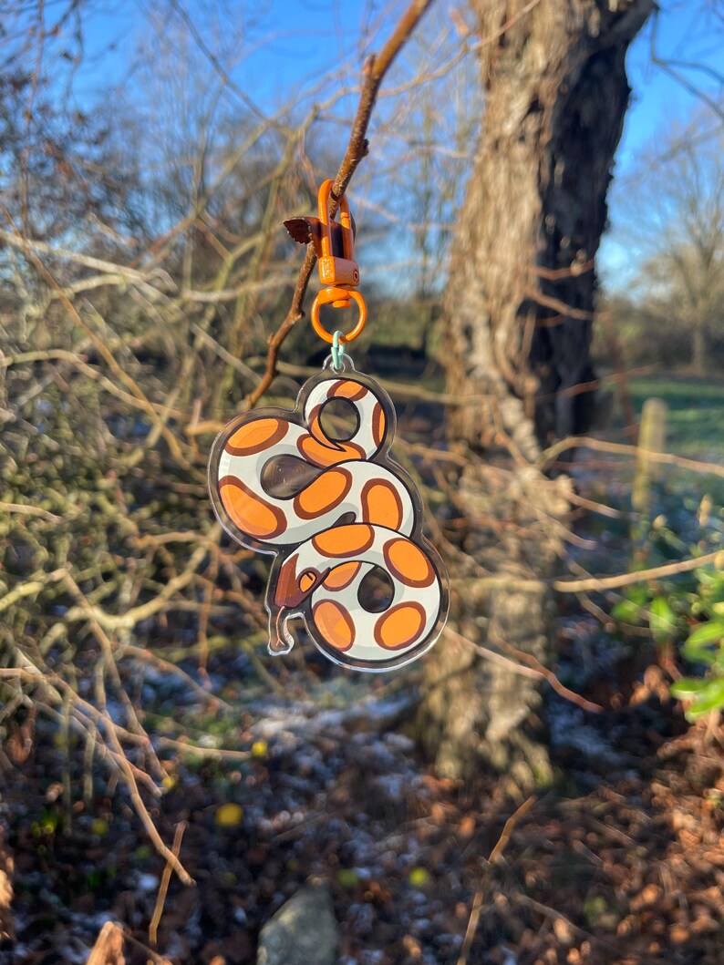 Op de afbeelding: Een heldere acryl sleutelhanger met een gestileerd slangenontwerp in oranje en bruin. De sleutelhanger is bevestigd aan een oranje sluiting en een zilveren ring. De achtergrond toont een tak en een vage buitensc&egrave;ne.