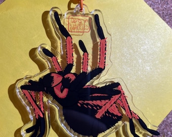 Cute tarantula keyrings, Mexican fireleg