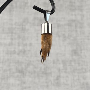 Könnte beinhalten: Ein Anhänger mit einer kleinen, konservierten Tierpfote. Die Pfote ist braun mit sichtbarem Fell und schwarzen Krallen. Sie ist an einer silberfarbenen Metallkappe und einem Bügel befestigt, die an einem schwarzen Metallhaken hängen.