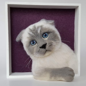 Cat sculpture in frames, 3D pet portraits,Realistic pet Memorial frame, Custom dog needle felt framed, Pet loss, Personalized animal clones