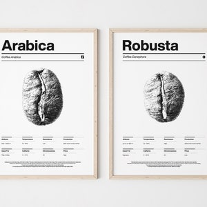 COP22/Coffee beans, Arabica Robusta , Coffee Varieties , Set of 2 Print, Minimalist style