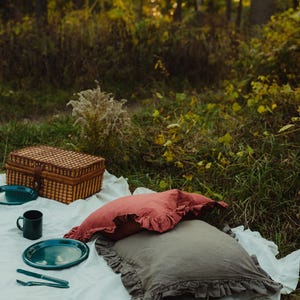 Puede incluir: Una manta de picnic con una cesta de mimbre, dos almohadas, dos platos verdes y una taza verde. La manta est&aacute; extendida en el suelo en un entorno boscoso.