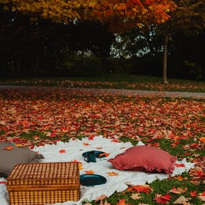 Puede incluir: Una manta de picnic extendida sobre un c&eacute;sped cubierto de hojas de oto&ntilde;o ca&iacute;das. La manta es blanca con un borde rizado y tiene dos almohadas, una cesta de mimbre y un plato con una taza azul.