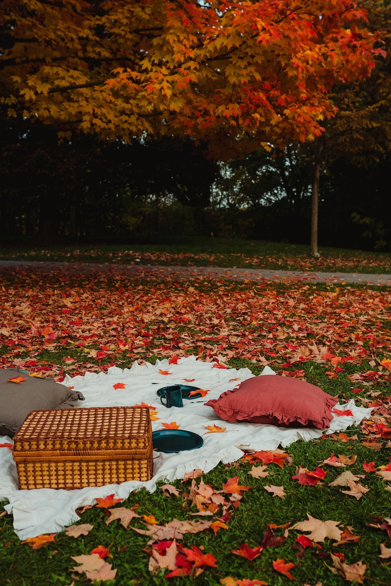 Puede incluir: Una manta de picnic extendida sobre un c&eacute;sped cubierto de hojas de oto&ntilde;o ca&iacute;das. La manta es blanca con un borde rizado y tiene dos almohadas, una cesta de mimbre y un plato con una taza azul.