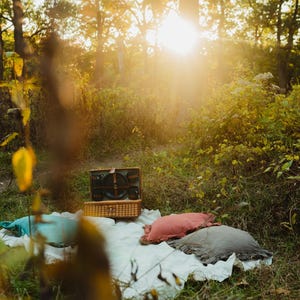 Puede incluir: Una cesta de picnic con tapa de mimbre y asa de cuero marr&oacute;n se encuentra sobre una manta blanca en un entorno boscoso. La manta est&aacute; rodeada de tres almohadas, una azul, una rosa y una gris.