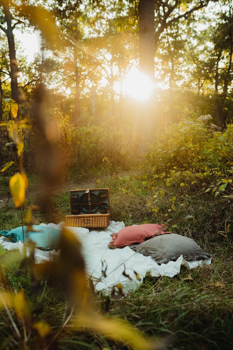 Puede incluir: Una cesta de picnic con tapa de mimbre y asa de cuero marr&oacute;n se encuentra sobre una manta blanca en un entorno boscoso. La manta est&aacute; rodeada de tres almohadas, una azul, una rosa y una gris.