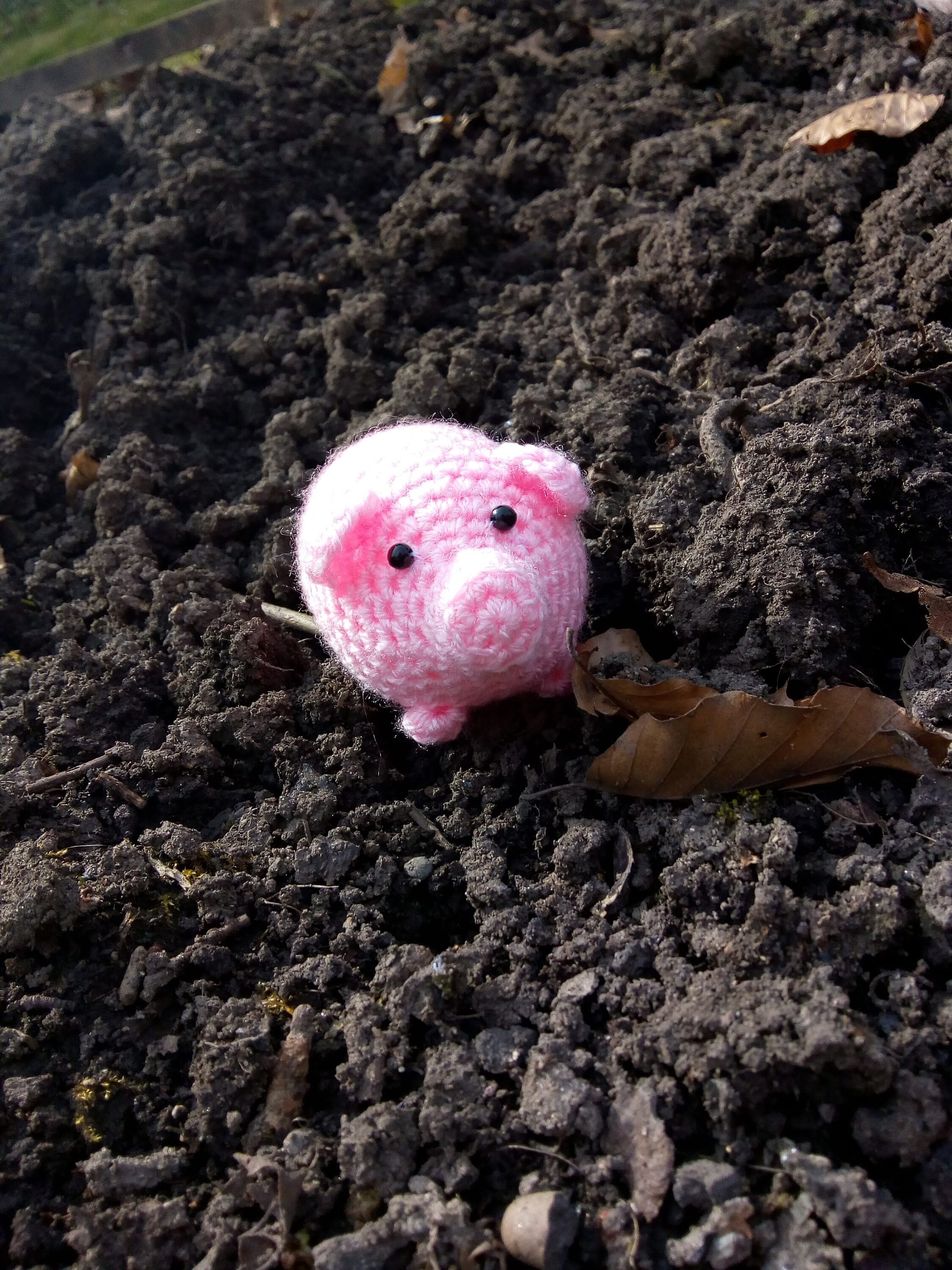 Mini pig teething toys 2025