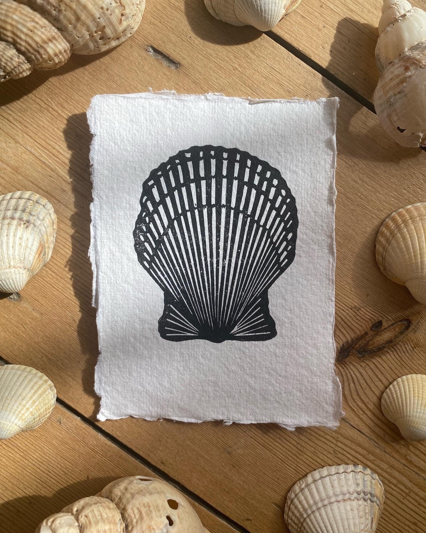 Limited Edition Shell Original Linoprints | Nature Print | Set of 3 ...