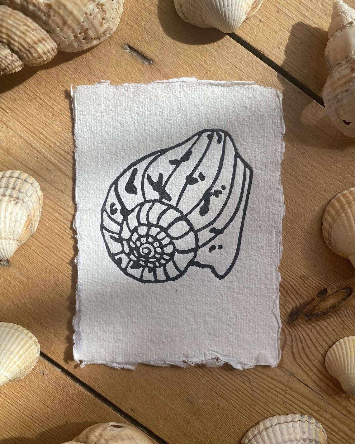 Limited Edition Shell Original Linoprints | Nature Print | Set of 3 ...