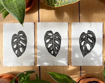 Set of 3 Monstera leaf Original Linoprints | Nature Print | Set of 3 Lino prints | Hand Printed | Wall Art | Gallery Wall | Home Decor