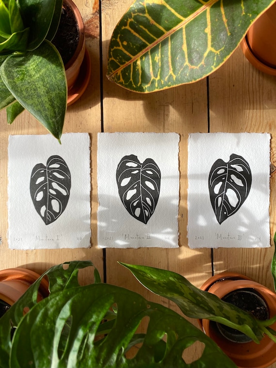 Set of 3 Monstera Leaf Original Linoprints | Nature Print | Set of 3 Lino  Prints | Hand Printed | Wall Art | Gallery Wall | Home Decor - Etsy