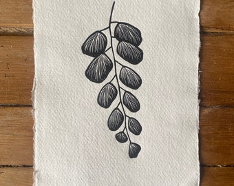 A5 Silver-dollar Fern Lino Print