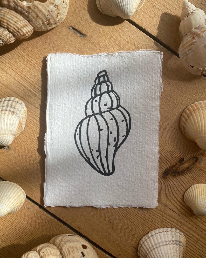 Limited Edition Shell Original Linoprints | Nature Print | Set of 3 ...