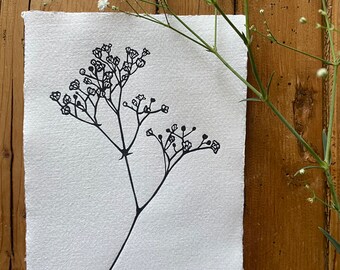 A5 Gypsophila Limited Edition Lino Print