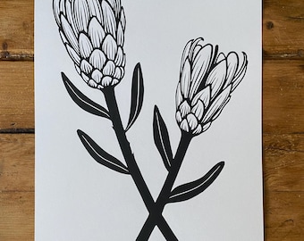 A4 Protea Lino Print