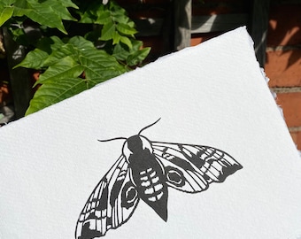 Hawk Moth Print | Insect Print | Moth Print | Nature Print | Linoprint