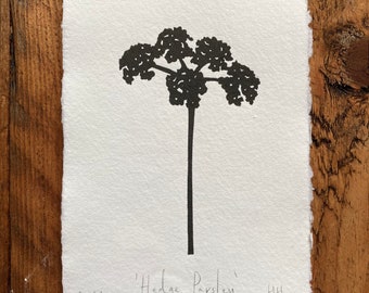 A6 Handprinted ‘Hedge Parsley’ Lino Print | Print | Nature Print | Gallery Wall