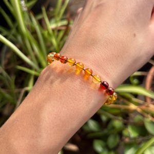 May include: A bracelet made of amber-coloured beads, with a colour gradient from light yellow to deep red. The beads are strung on a thin, gold-coloured cord. The jewellery is shown against a background of green foliage.