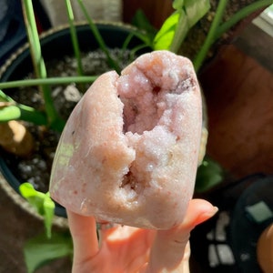 May include: A light pink crystal geode with a hollow center filled with smaller, sparkling crystals. The geode is held in a hand, with a blurred background of green plants and a dark pot.