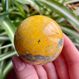 May include: A yellow and gray sphere of polished bumblebee jasper. The sphere has a smooth, polished surface and is a natural stone.