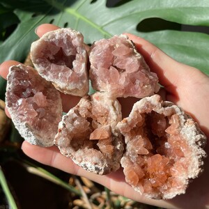 May include: A collection of pink crystal geodes, each with a unique formation of sparkling crystals inside. The geodes are held in a hand, with a large green leaf in the background. The crystals range in color from light pink to peach.