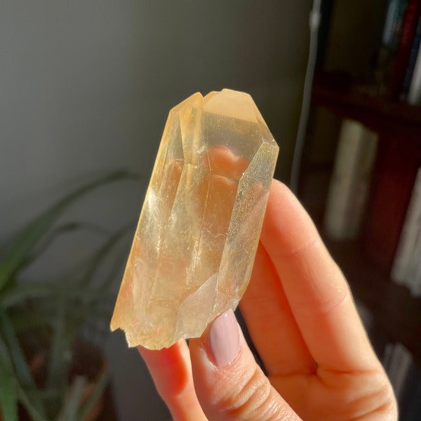 Raw/Natural Golden Twin LEMURIAN QUARTZ Point from Brazil