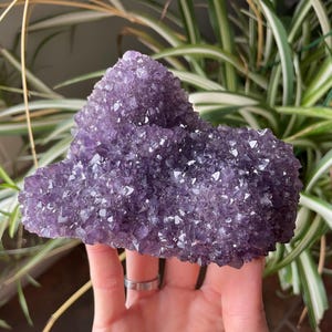 Extra High Quality Stalactite Amethyst Formation from Brazil