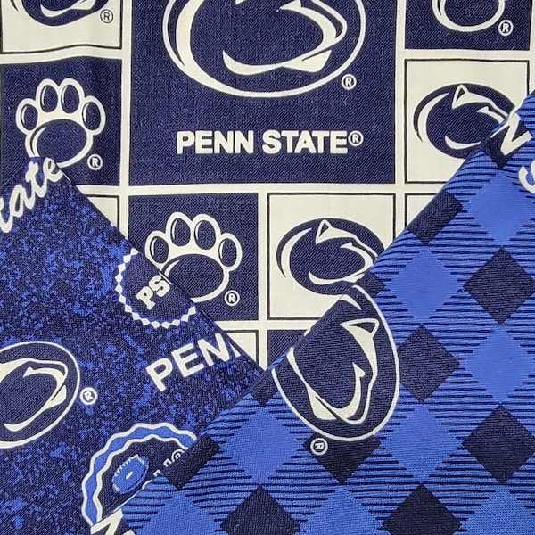 Penn State Pillow Etsy