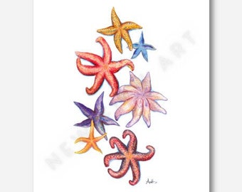 Peinture aquarelle Terre-Neuve « Starfish Point » Impression d'art - New Finn Art