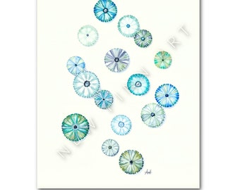 Watercolour Painting "Sea Urchin Energy" Newfoundland Art Print