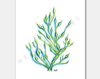 Watercolour Painting "Rockweed Haze" Newfoundland Seaweed Art Print