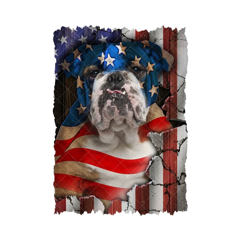 Bulldog American Flag PNG Patriotic USA Design Bull Dog Clipart for