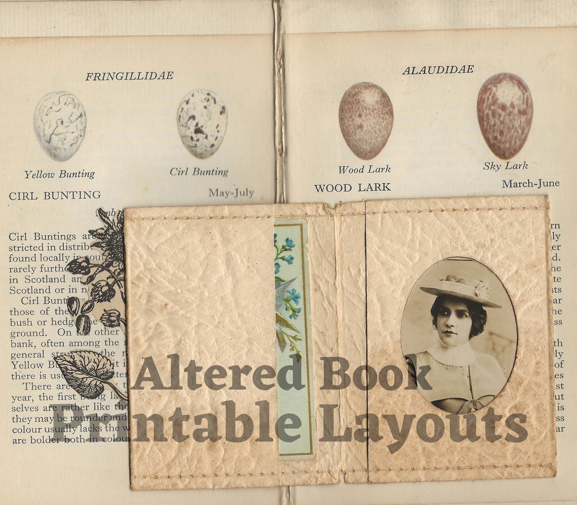 Altered Book Printable Layouts Scans, Vintage Paper Ephemera, Junk Journal, Collage, Handmade ...