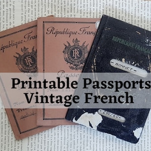 Passaporte para impressão vintage francês scans digital lixo diário colagem steampunk artesanato scrapbooking mídia mista arte alterada