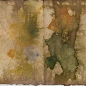 53 Eco Prints and Rust Boiled Pages Downloads