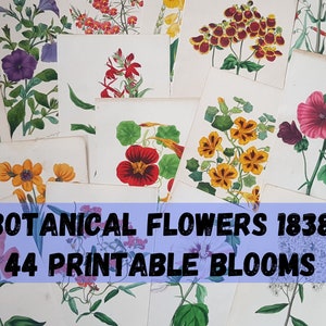 44 Vintage Flower Printable Botanical Prints - Ephemera, Junk Journal, Frame, Collage, Scrapbooking, Cardmaking, Wall Hanging, Florals