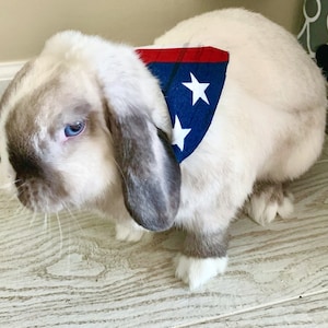Handmade Bandanas for Pets (Rabbits) Small & Large - PERSONALIZED