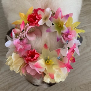 Pink Lemonade Flower Crown for Pet, Women and Child