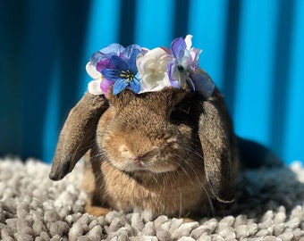 CUSTOM Flower Crown for Pets & Humans - All Colors and Sizes