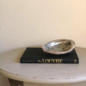 May include: An iridescent abalone shell with a pearlescent interior resting on top of a black hardcover book titled The LOUVRE. The book features gold lettering on the spine and is positioned horizontally, showcasing the shell's natural texture.