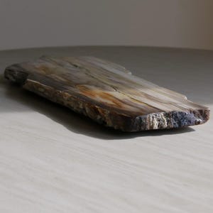 Petrified Wood Tray - Etsy