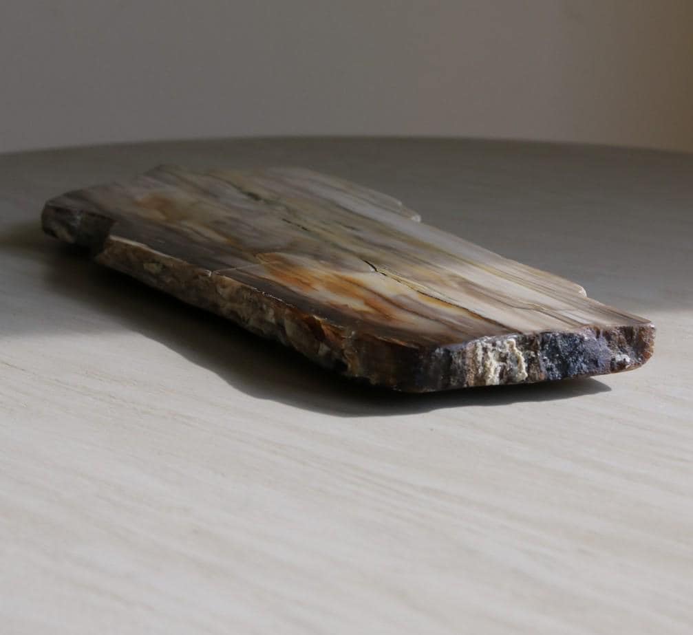 Petrified Wood Tray - Etsy