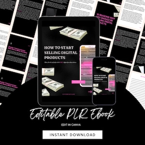 PLR Ebook, How To Start Selling Digital Products, Business, White Label, PLR,  Ebook, Done For You, Add your own brand and resell