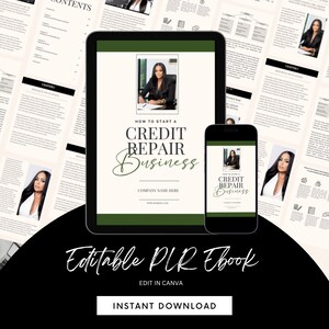 PLR Credit Ebook, How To Start A Credit Business, White Label, PLR,  Ebook, Done For You, Credit Business, Finance Book